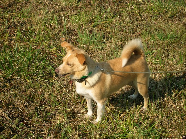 img00145.jpg