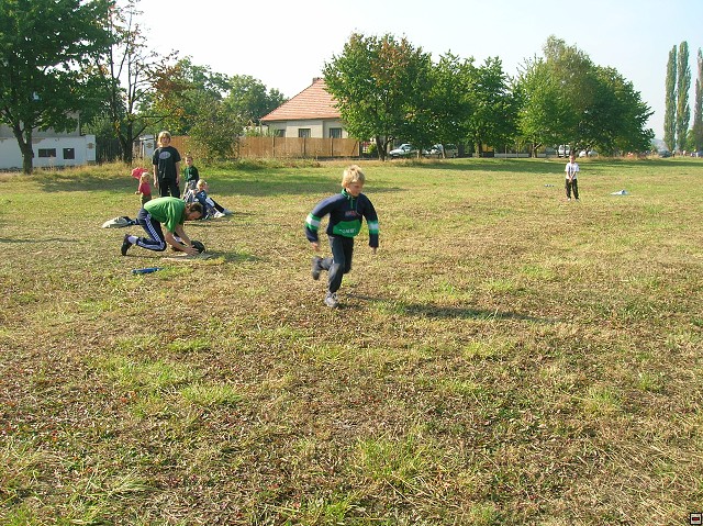 img00166.jpg