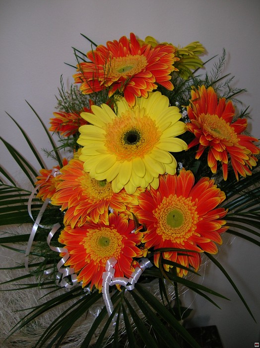 img00001.jpg