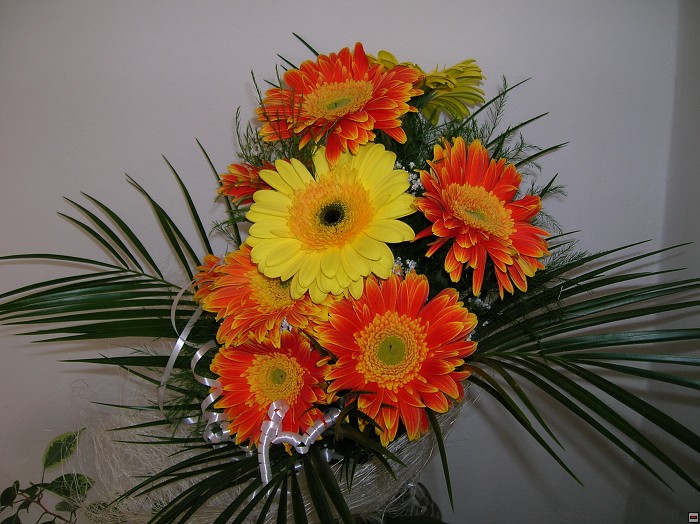 img00002.jpg