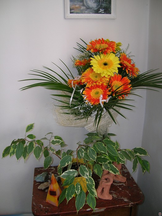 img00003.jpg