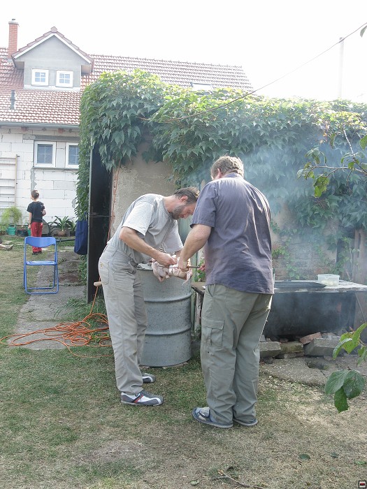 img00010.jpg