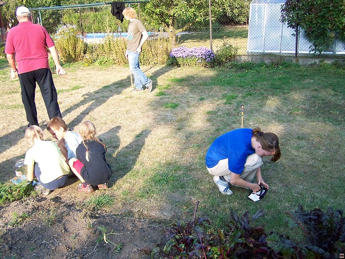 img00013.jpg