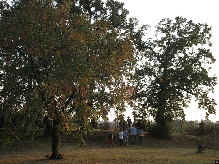 img00043.jpg