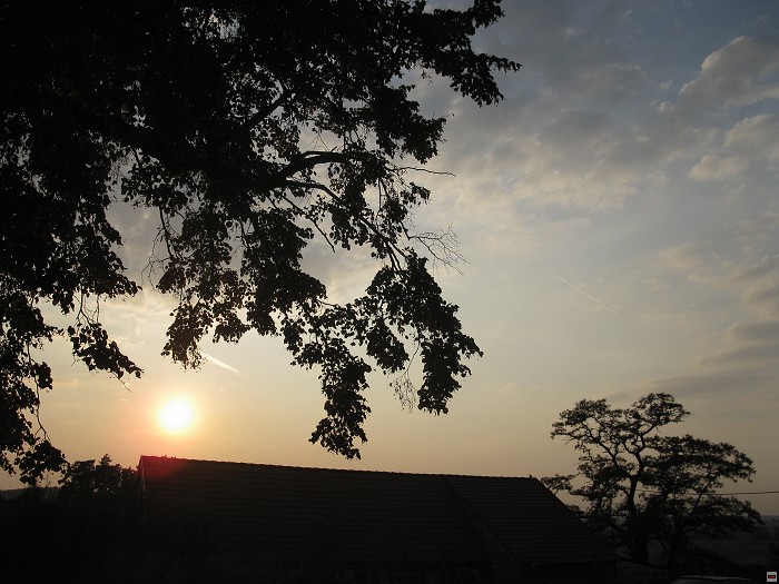 img00046.jpg