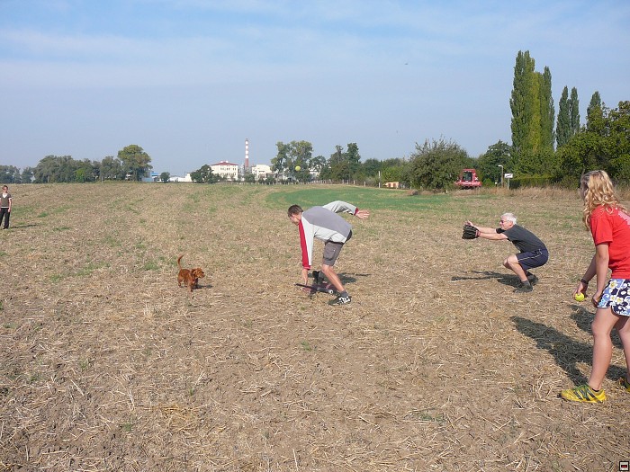 img00086.jpg