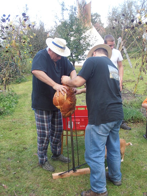 img00013.jpg