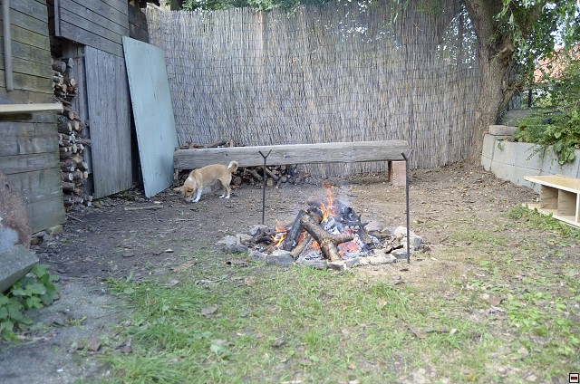 img00018.jpg