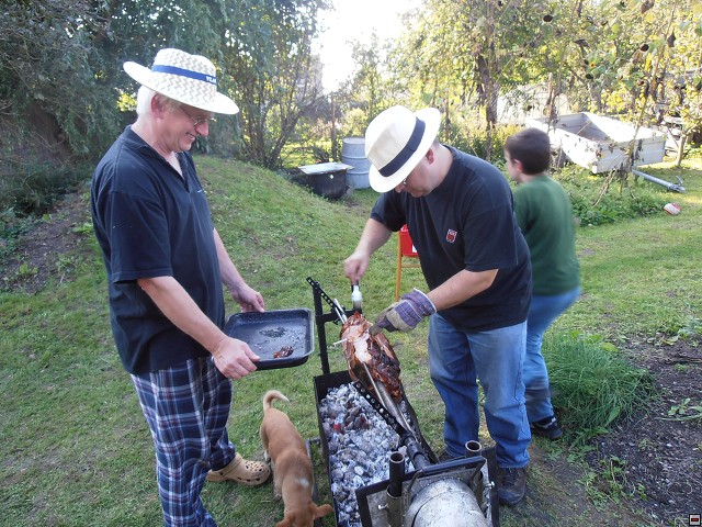 img00042.jpg