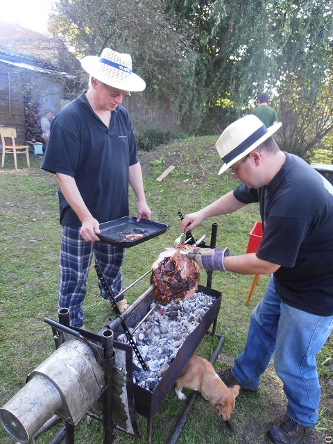 img00043.jpg