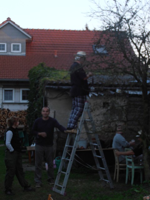 img00052.jpg