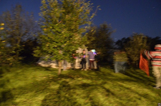 img00074.jpg