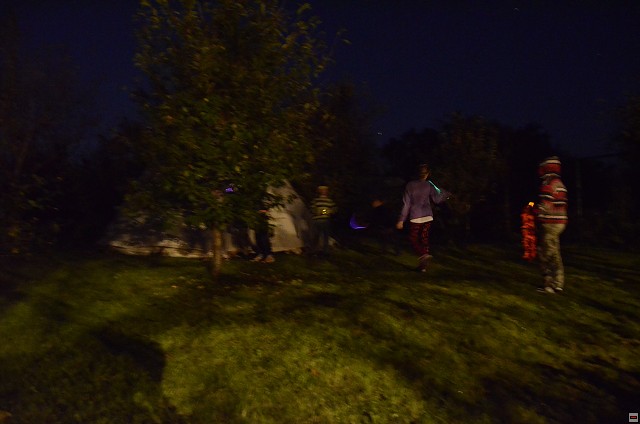 img00085.jpg
