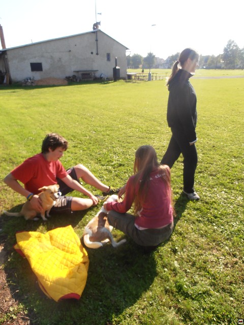 img00159.jpg
