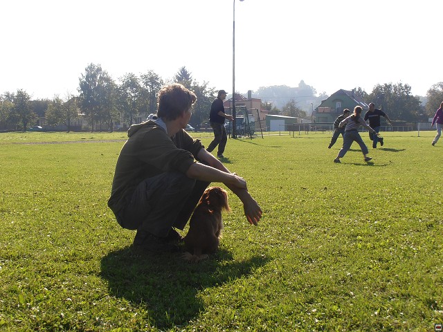 img00160.jpg