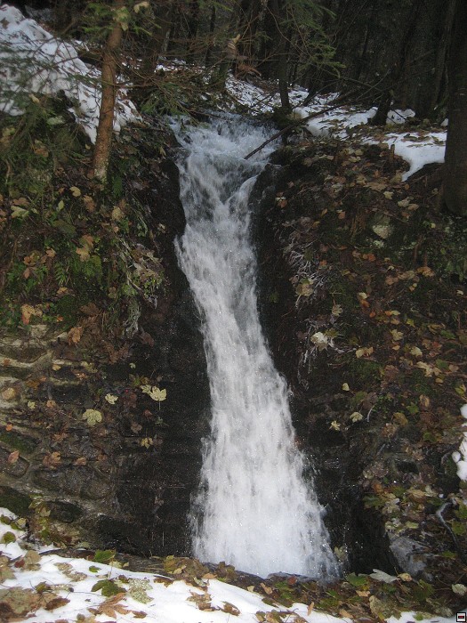 img00022.jpg