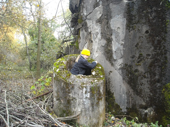 img00027.jpg