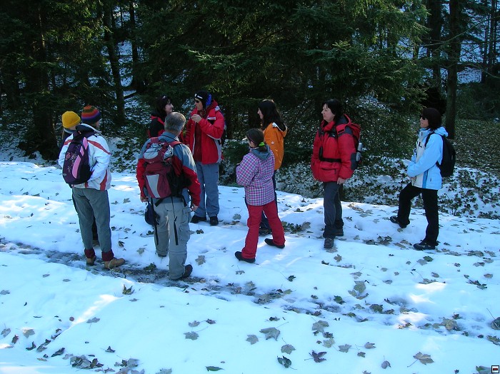 img00038.jpg