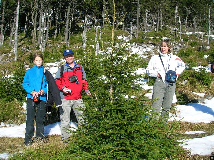 img00043.jpg