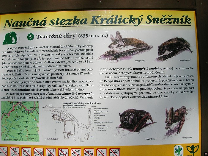 img00059.jpg