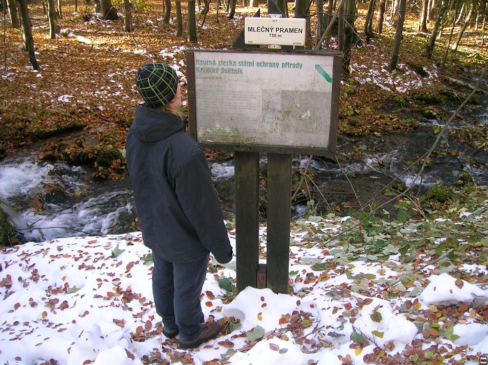 img00065.jpg
