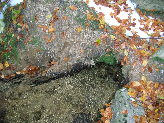 img00066.jpg