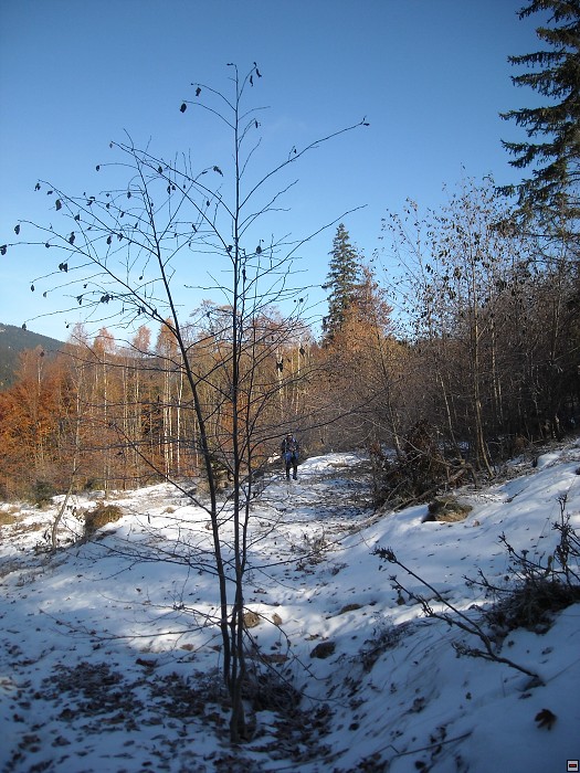 img00067.jpg