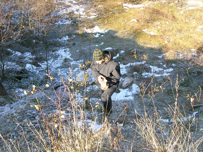 img00068.jpg