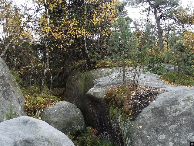img00005.jpg