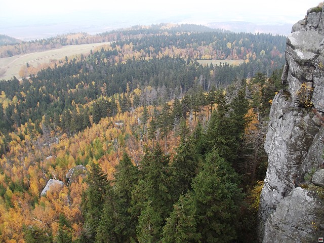 img00006.jpg