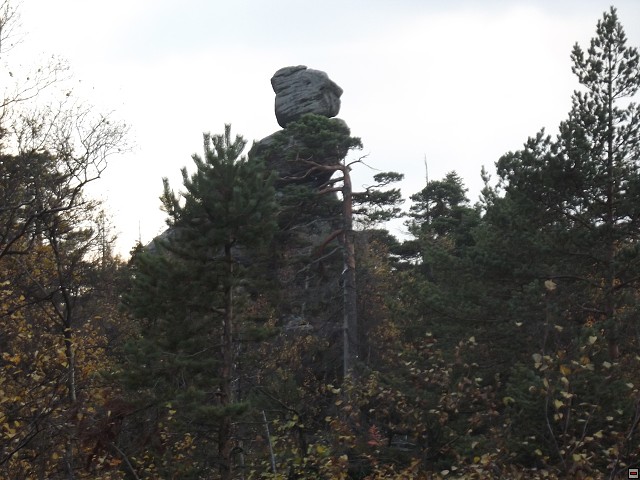 img00009.jpg