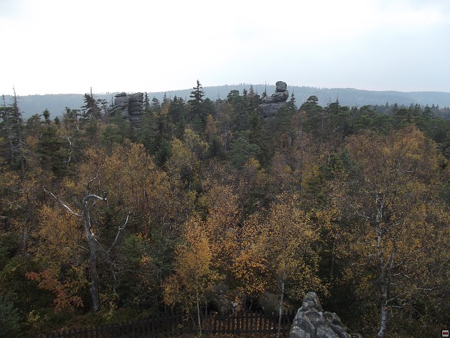 img00011.jpg
