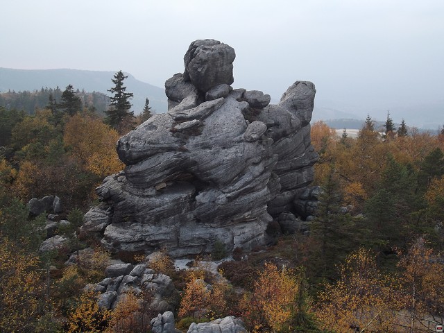 img00013.jpg
