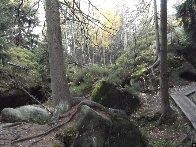 img00015.jpg