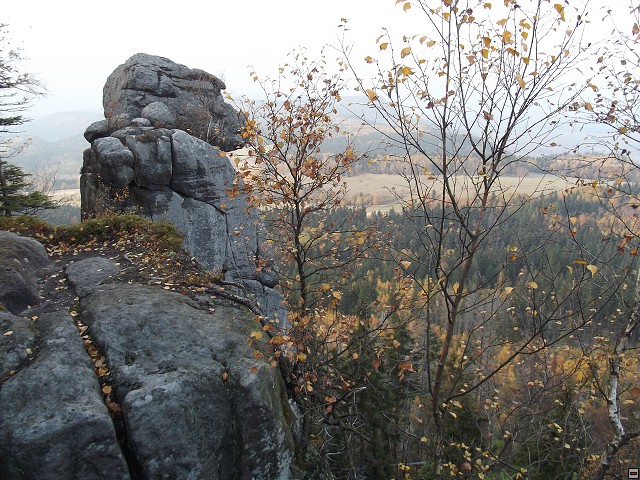 img00016.jpg