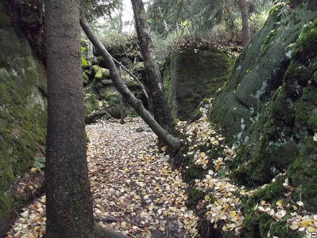 img00022.jpg
