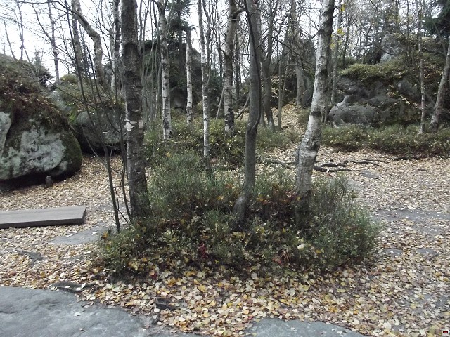img00024.jpg