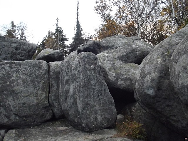 img00026.jpg