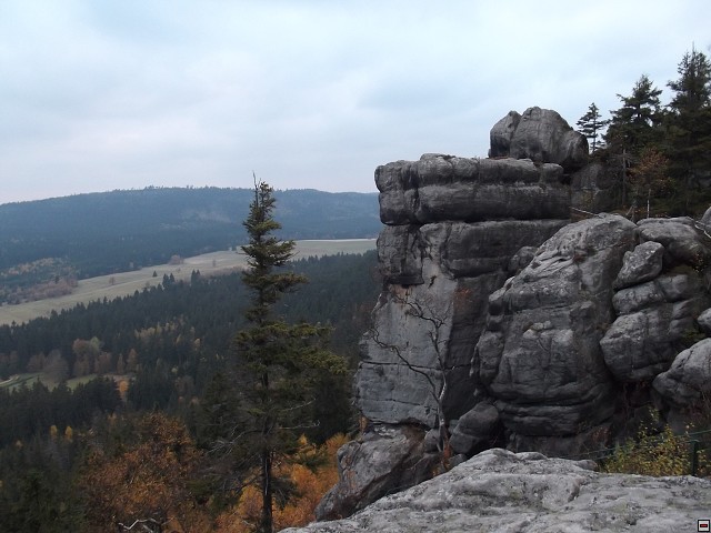 img00027.jpg