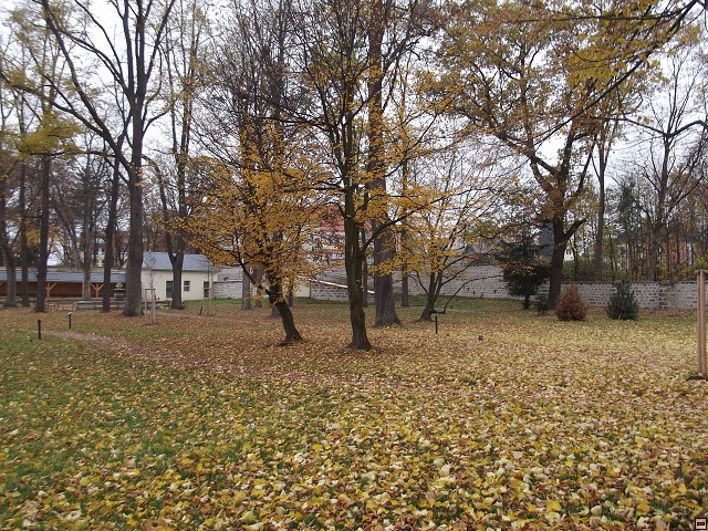 img00046.jpg