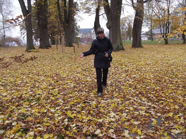 img00047.jpg