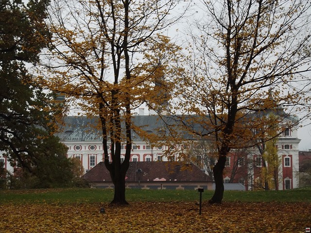img00048.jpg