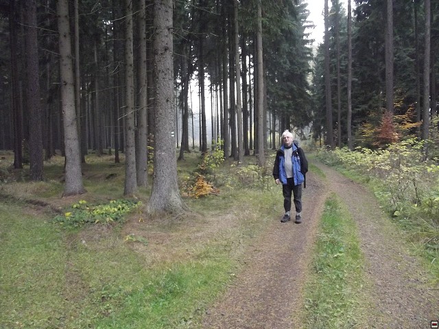 img00050.jpg