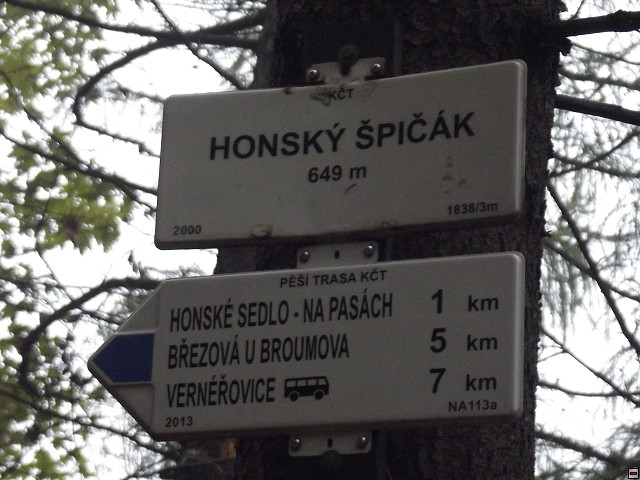 img00052.jpg