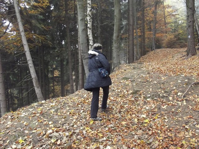 img00055.jpg