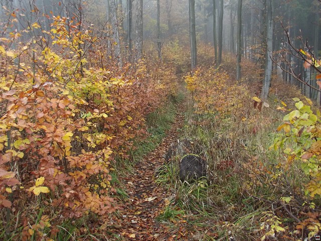 img00056.jpg