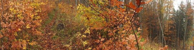 img00057.jpg