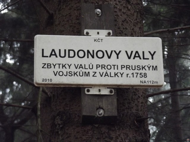 img00058.jpg