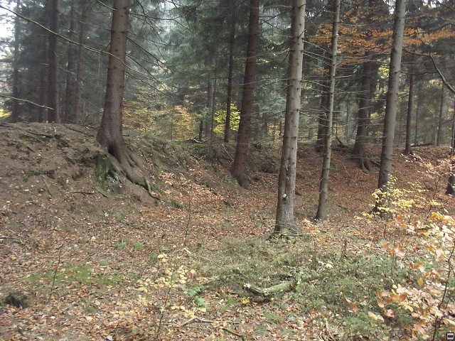 img00059.jpg