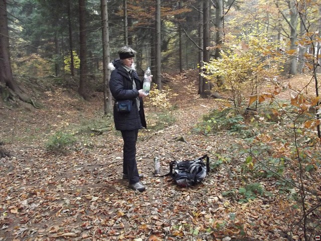 img00060.jpg